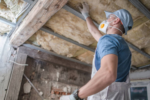 Best Cellulose Insulation in Longboat Key, FL