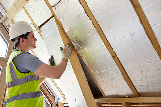 Types of Insulation We Offer in Longboat Key, FL