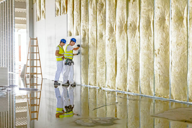 Best Specialized Insulation Services in Longboat Key, FL